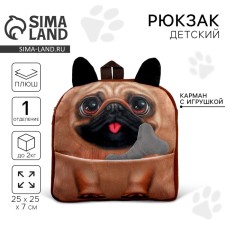 Baby backpack for a boy 