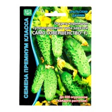 Seeds of cucumber 