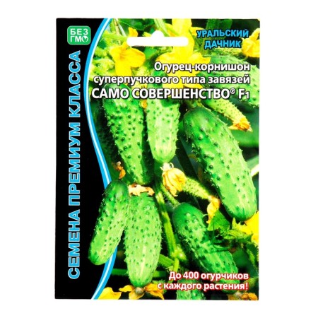 Seeds of cucumber "Perfection itself" F1 Superbound type, parthenocarpic, 5 pcs