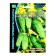 Seeds of cucumber "Perfection itself" F1 Superbound type, parthenocarpic, 5 pcs
