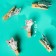 Set for photos and decor "kittens", in a set of clothespins 10 pcs., Rope 100 cm