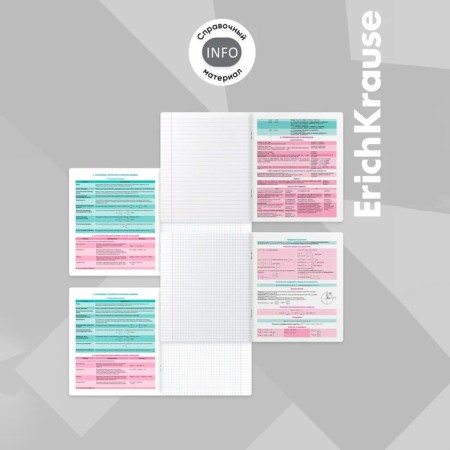 A set of subject notebooks of 48 sheets, 12 pieces, Erichkrause "Persons", plastic cover, coated cardboard, Bloc Offset 100%, info-block-27
