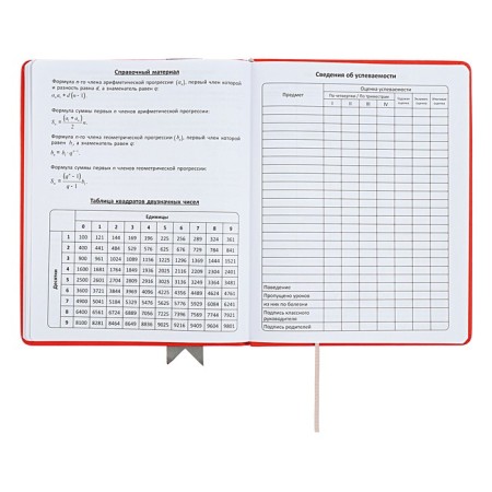 Universal diary for grades 1-11 Lenta, solid cover of artificial leather, applique, silkography, liesse, 48 sheets, red-13