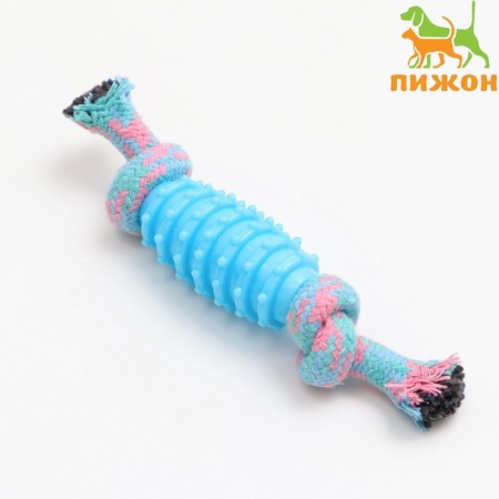 Chewing toy "Element", 17 x 3.2 cm, blue/pink