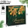 Packet Laminated Square Emerald, 30 x 30 x 12 cm, new year