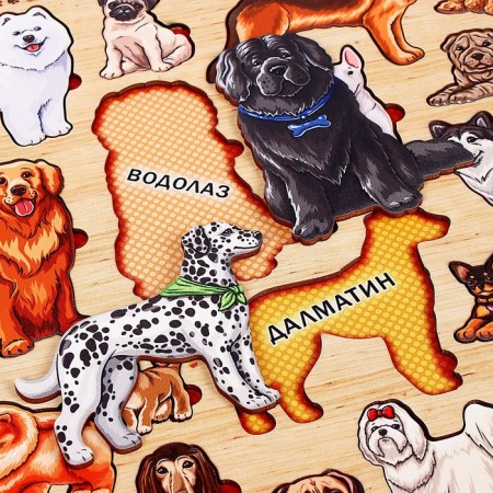 The frames of the "dog breed"-2