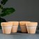 A set of 4 flower pots "Standard" D11CM