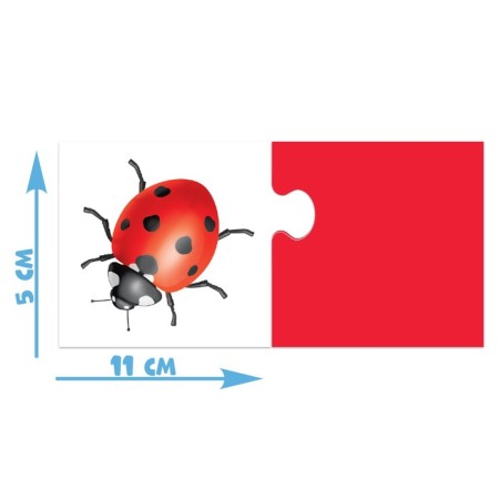 Pair puzzles "Colors", 24 details-1