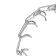 Collar - half -storage is strict, 3.5 mm x 55 cm