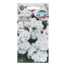 Flower seeds Ageratum 