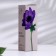 Aromatic diffuser, Wind Flower, 60ml