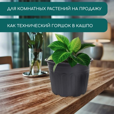 Pot for seedlings, 2.2 l, d = 21 × 16 cm Greengo-4