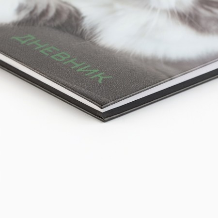 School diary 5-11 grade, in a solid cover, 48 liters. "Cat"-1
