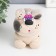 Growing gift Eco -Zhizhivchik "puppy novelt" mix