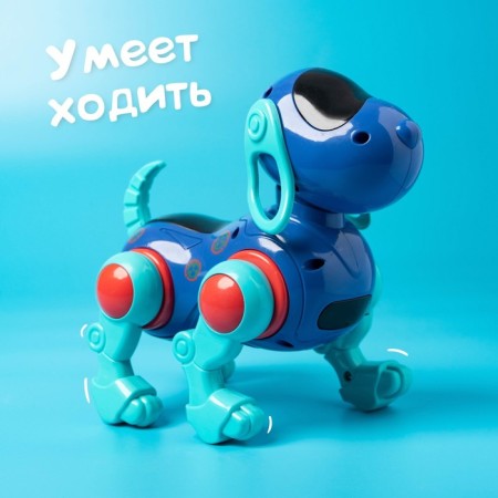IQ DOG robot pillbox, sings, works, works from batteries, blue color-3