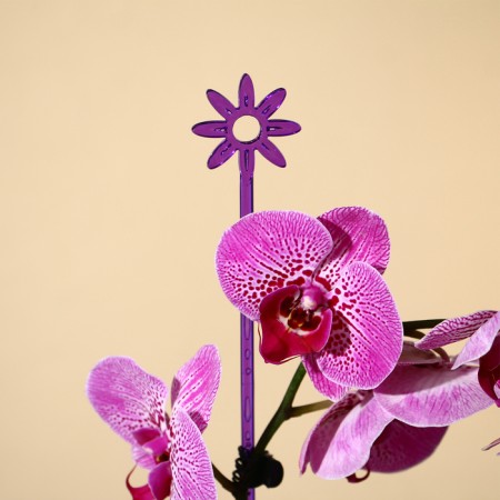 Support for orchids, h = 44 cm, plastic, purple, mix-8