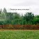 Decorative fence, 36 × 42 cm, plastic, terracotta
