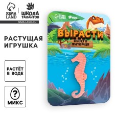 Children's experience “growing animal. Sea animals 