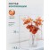 Flower composition "Eucalypt" in a bottle vase, orange / transparent color
