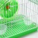 The rodent cell is equipped RT-2C, 23 x 16.5 x 20 cm, green (packing 30 pcs)