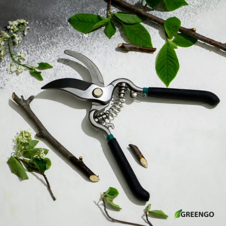 Planning coater, 8 "(20 cm), with metal handles, Greengo-10