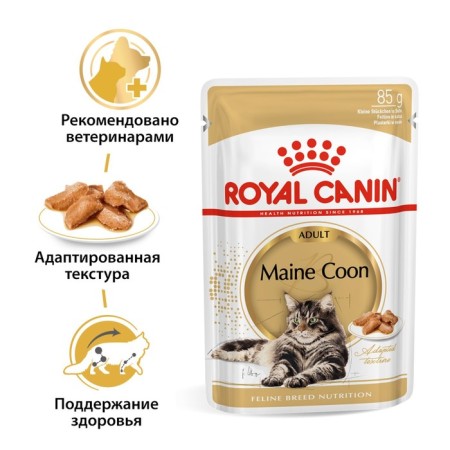 Wet feed RC Main Coon Saon, 85 g-1