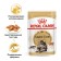 Wet feed RC Main Coon Saon, 85 g