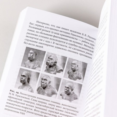 Myths about human evolution. Sokolov A.-4