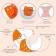 Reusable diaper, orange color