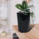 Pot for seedlings, for roses, 7 l, d = 22 cm, h = 26 cm, black, Greengo