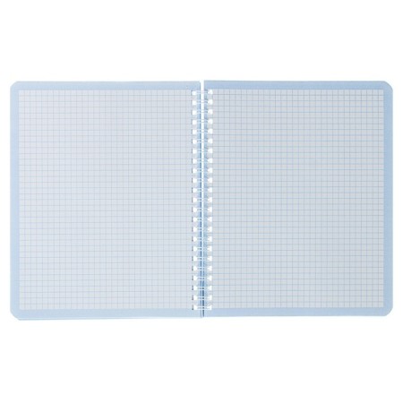 A notebook of 96 sheets of a cage on the crest "Flamingo", cardboard cover, mix-1