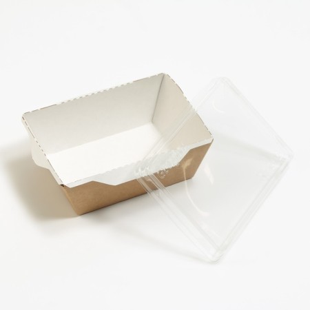 A container with a transparent lid, craft, 0.45 l, 14 x 10 x 5.5 cm-1