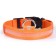 Collar with backlight size L, Osh 45-52 x 2.5 cm, 3 lumines of the glow orange