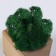Kashpo Composition with Moss "Briovud", stabilized moss: Forest Green (Green Forest)
