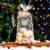 Package Packy BOPP, "New Year's balls" 15*30 cm