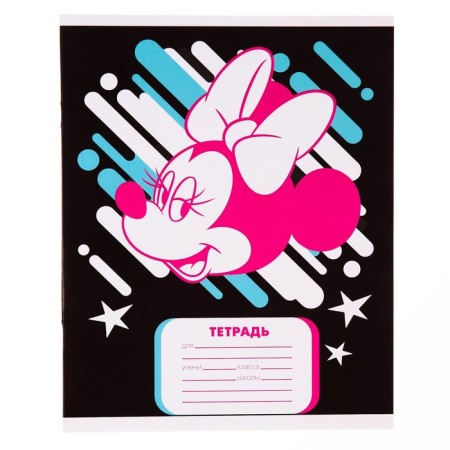Notebook in a cage 24 sheets, 4 types of mix, cover coated cardboard, Minnie Mouse-6