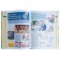 Large children's illustrated dictionary about everything in the world. Alekseeva V.K. and etc.