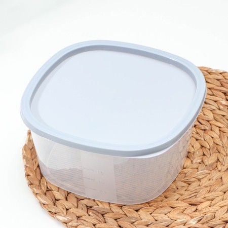 Container for products with a measuring scale "Biofresh", 2.65 l, color mix-1