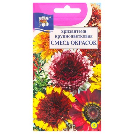 Seeds of chrysanthemum flowers are long -term "mixture", large -flowered, 0.02 g