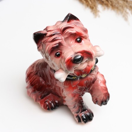 Piggy bank "Dog with bone" 21x16cm-3