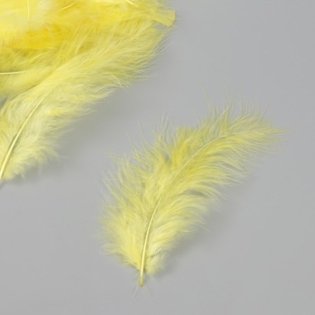 Pen decorative goose downy "yellow" set 40 pcs h = 10-15 cm-2
