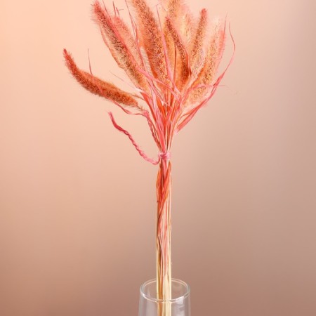 Set of dried flowers "Setaria", ban 7 pcs, length 60-65 (+/- 6 cm), peach-1