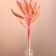 Set of dried flowers "Setaria", ban 7 pcs, length 60-65 (+/- 6 cm), peach