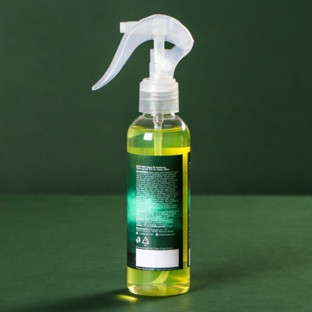 Flavor-spray Ion Citrus Squash, 150 ml, il-01-1