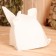 Model White Hat "Rainbow Unicorn"