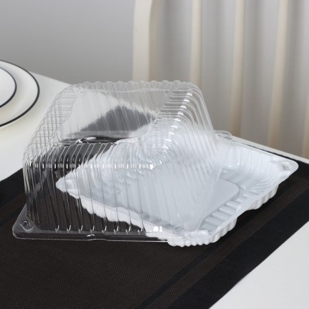 Cormore plastic disposable IP-43, cover 18.5 × 18.5 × 10.5 cm, internal 16 × 16 × 10 cm, 480 pcs/un-6