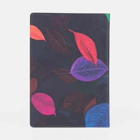 Cover for passport, colorful color-1