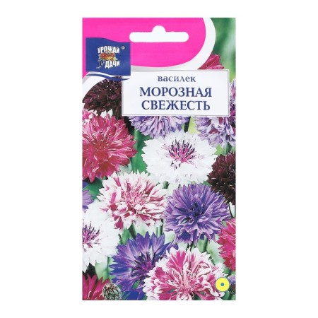 Fronts of cornflower "Frosty freshness", 0.5 g