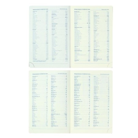 Diary Lowed Western A5, 136 sheets in a cage, leatherette, blue, blue cut, with an elastic band, 2 lies, perforated corners-4