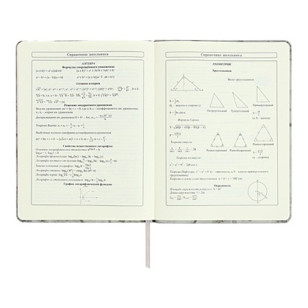 Diary 1-11 grade "Gray marble", artificial leather, a solid cover with embossing, with liesa, 48 sheets-10
